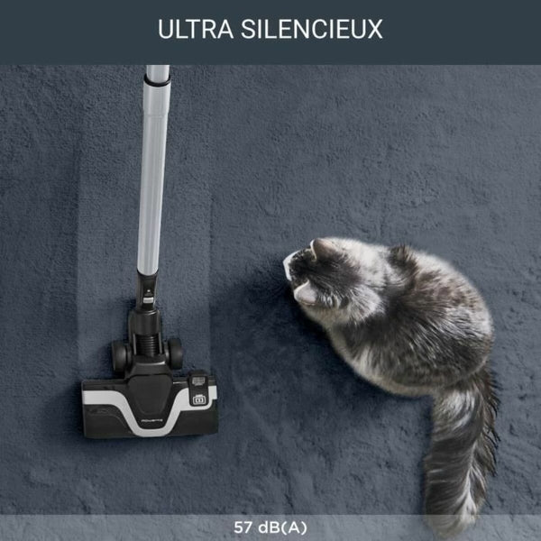 PÖLYNIMURI ROWENTA YY5453FE ROUGE 400 W PUSSITON
